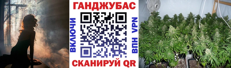 Канабис THC 21%  мориарти наркотические препараты  Новосибирск 